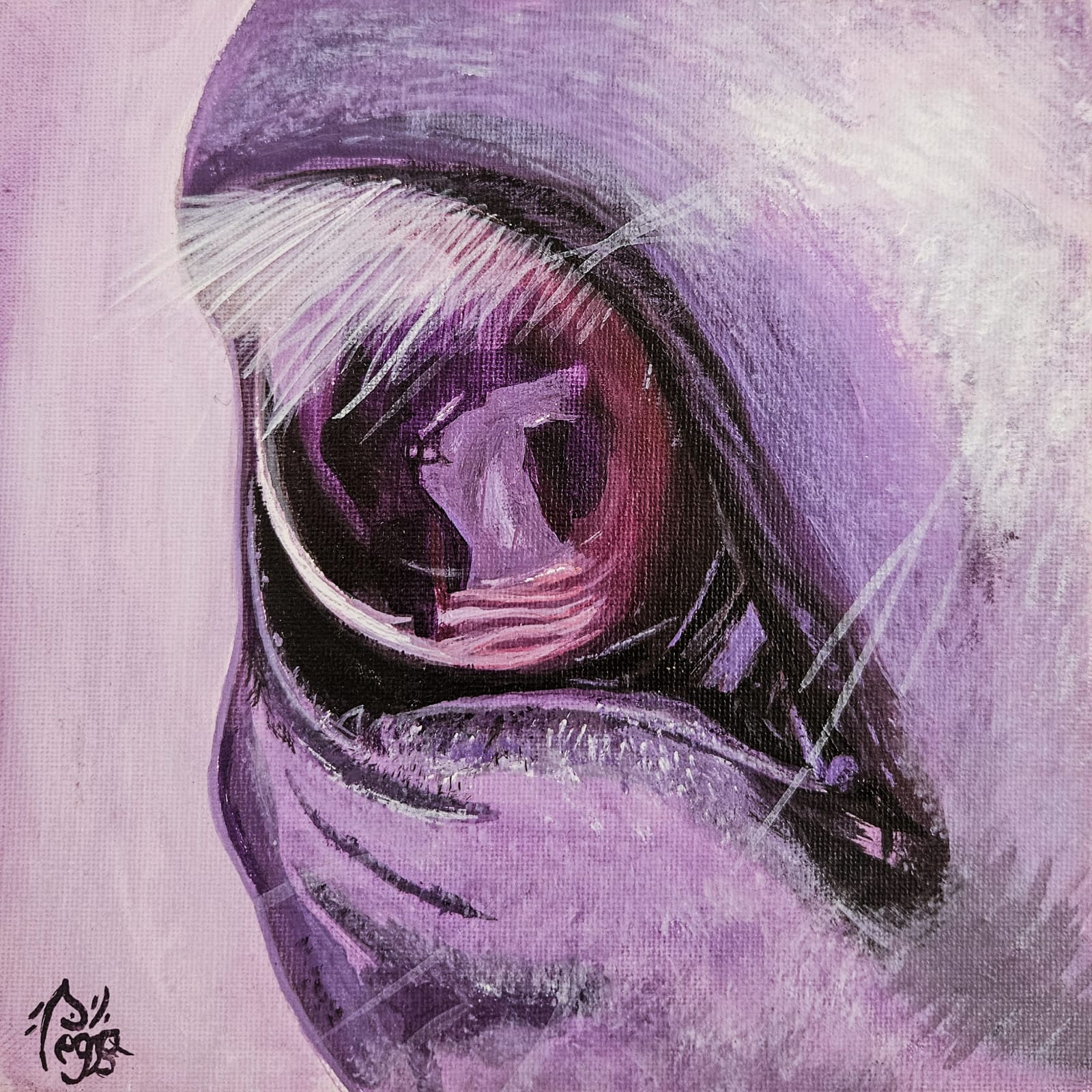 whatsapp image 2026 02 25 at 16.17.57 (1)